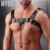 Harness 1