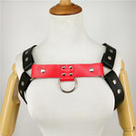 Harness 1