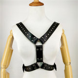 Harness 1