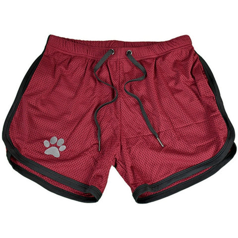 Pup Club Shorts