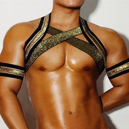 Golden X Harness