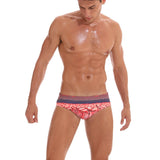 The Flamingo Brief