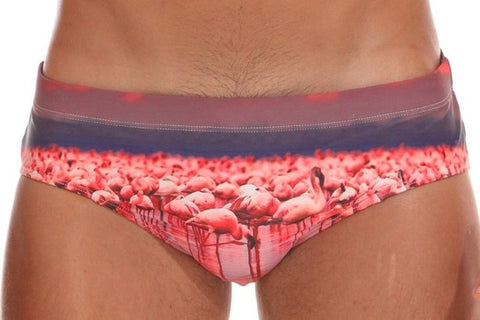 The Flamingo Brief